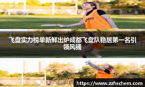 快盈VIII